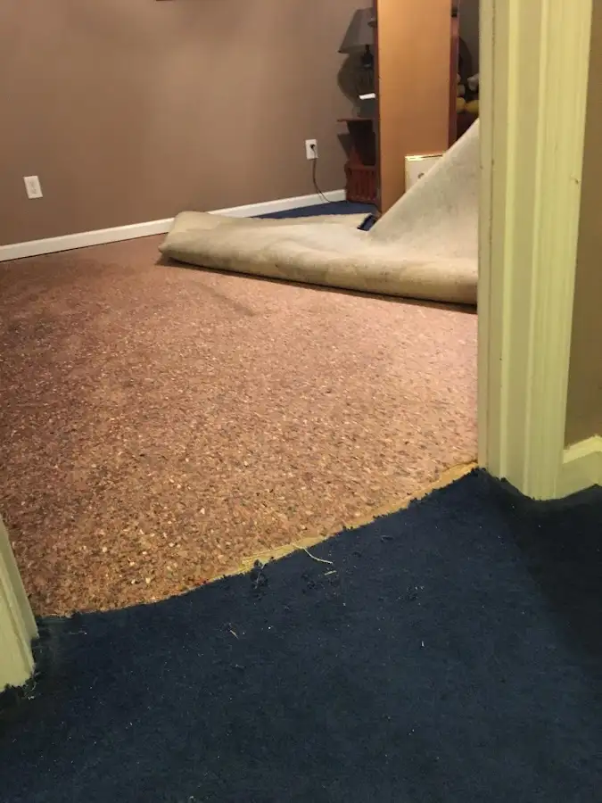 Carpet pad removal revealing water damage during Drying & Dehumidification in Santa Monica