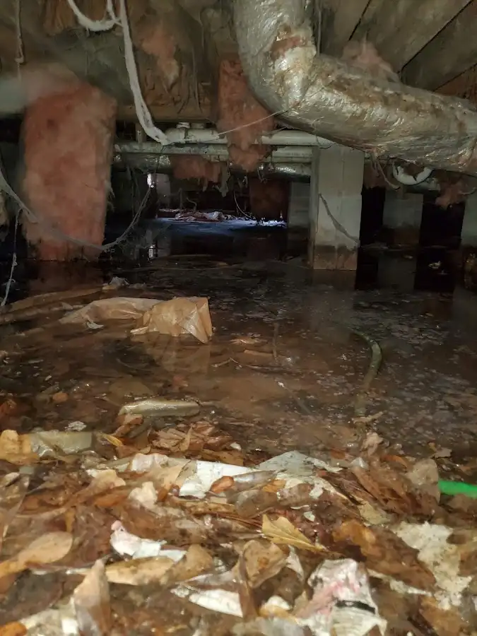 Crawl space flood assessment for Leak Detection & Repair in Santa Monica